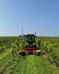 PHOTO-2025-06-11-14-43-16 (2)